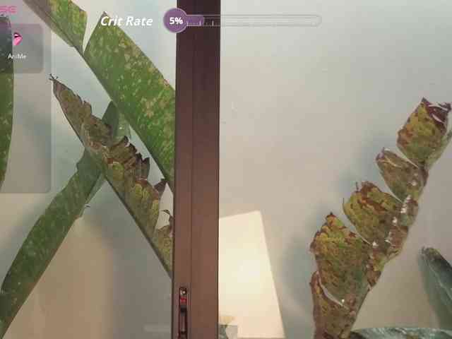 came-a-lot came-a-lot