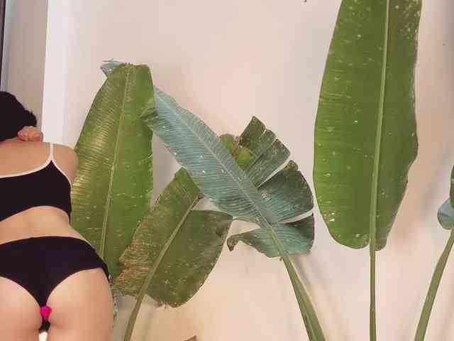 came-a-lot came-a-lot