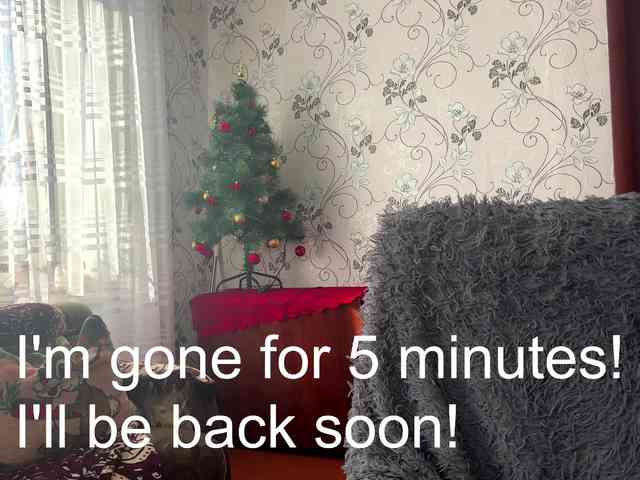 Alissssaaaaaa webcam