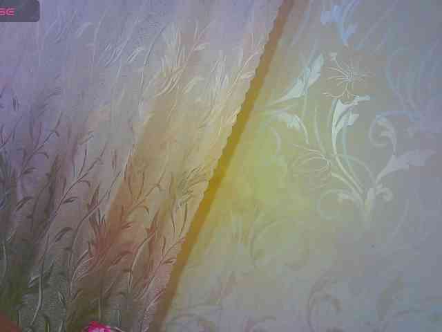 Shiny_Victoria webcam