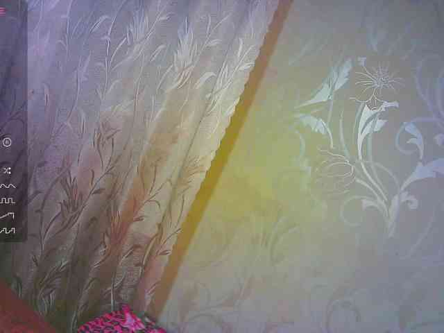 Shiny_Victoria webcam