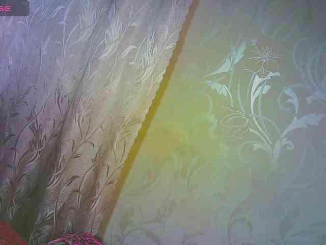 Shiny_Victoria webcam