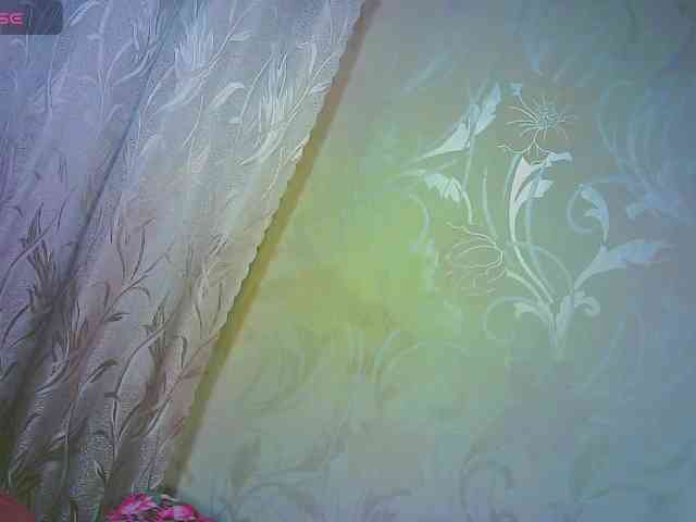 Shiny_Victoria webcam