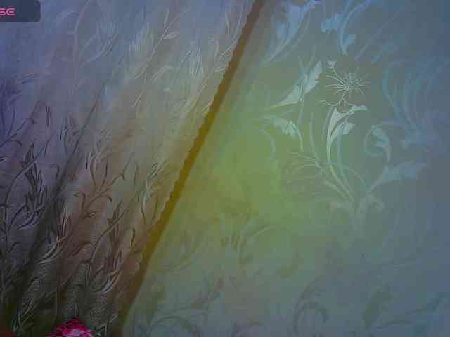 Shiny_Victoria webcam