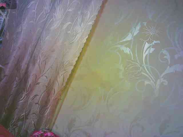 Shiny_Victoria webcam