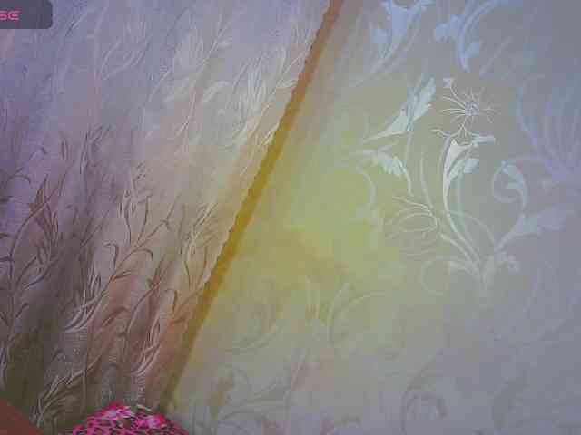 Shiny_Victoria webcam