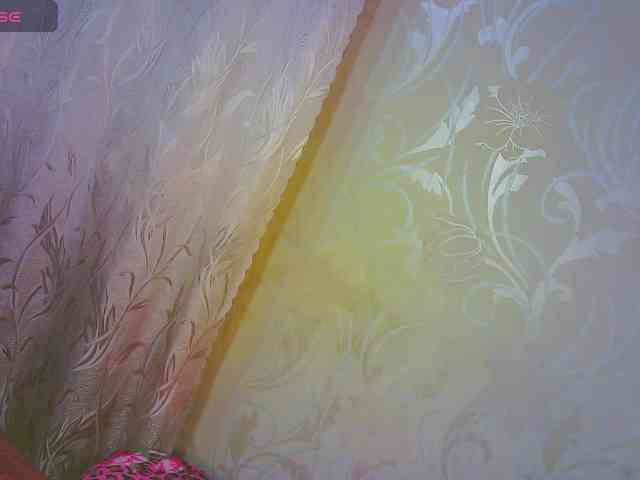 Shiny_Victoria webcam