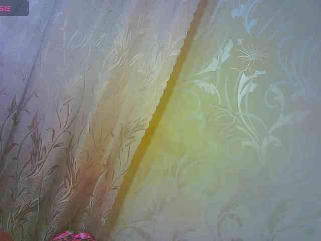 Shiny_Victoria webcam