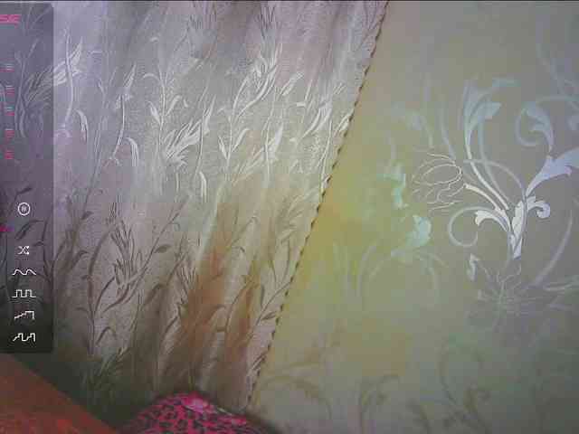 Shiny_Victoria webcam