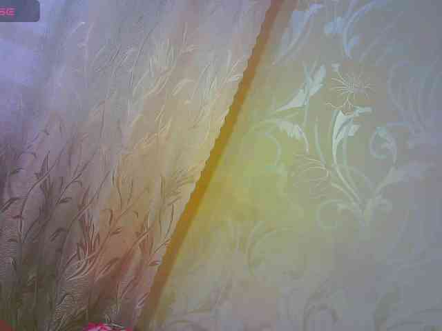 Shiny_Victoria webcam