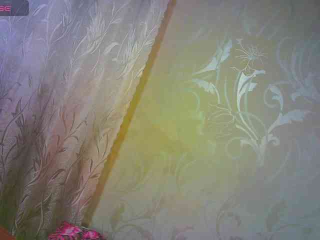 Shiny_Victoria webcam