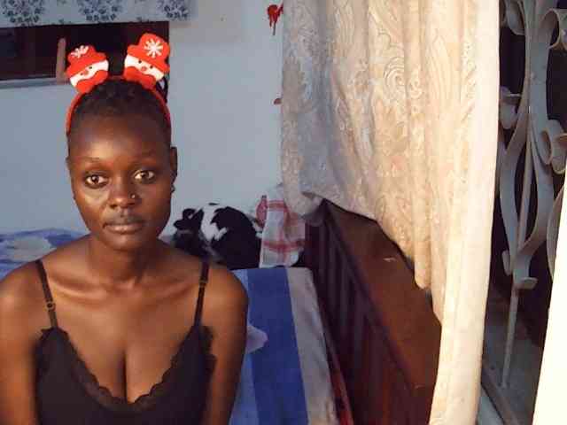 Queen-of-Bees webcam