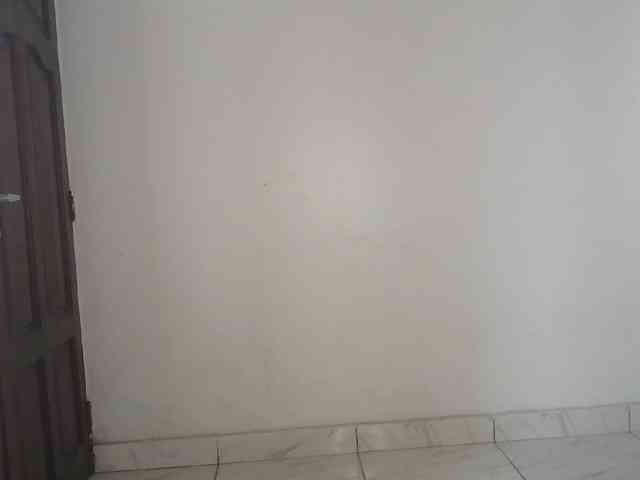 Queen-of-Bees webcam