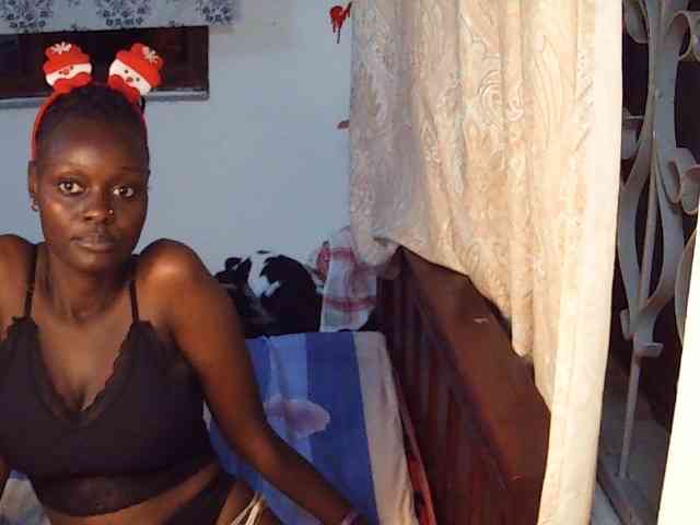 Queen-of-Bees webcam