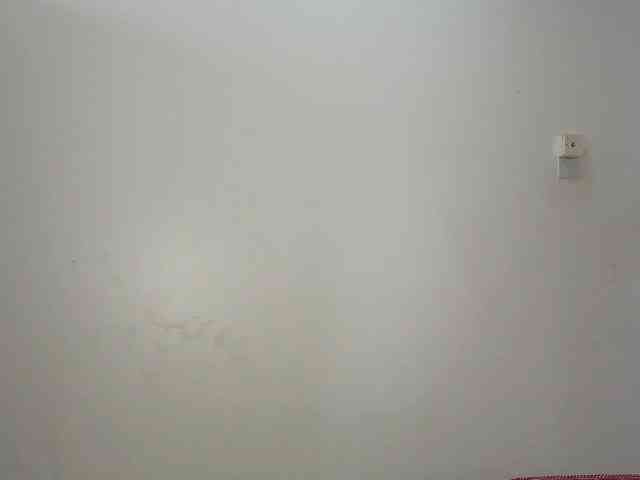 Queen-of-Bees webcam