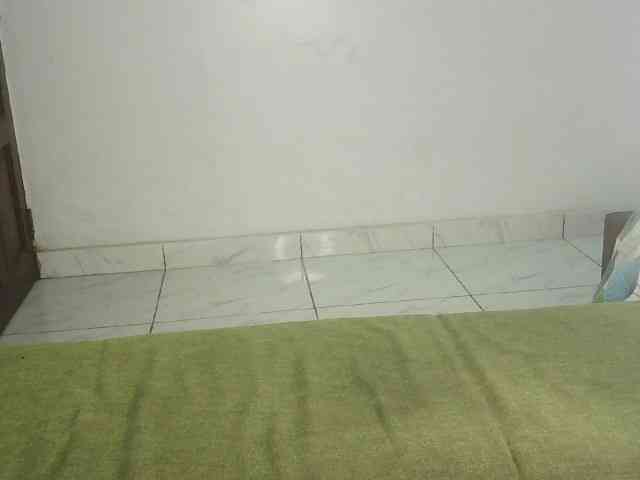 Queen-of-Bees webcam