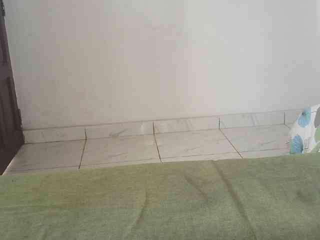 Queen-of-Bees webcam