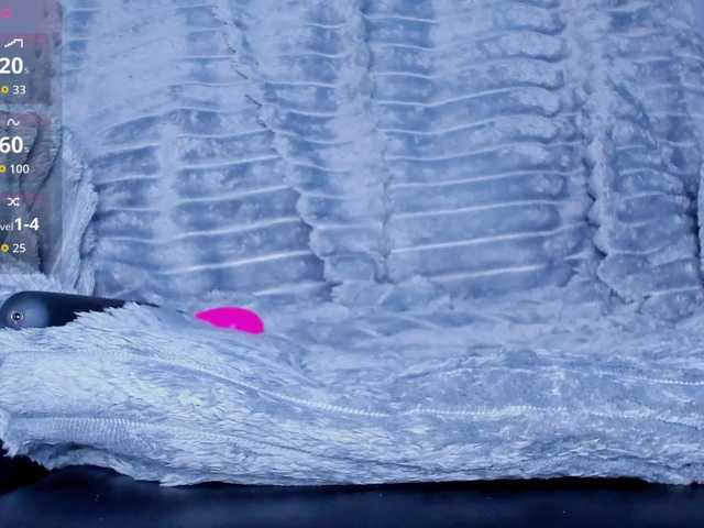 leehaeun7's BongaCams show and profile