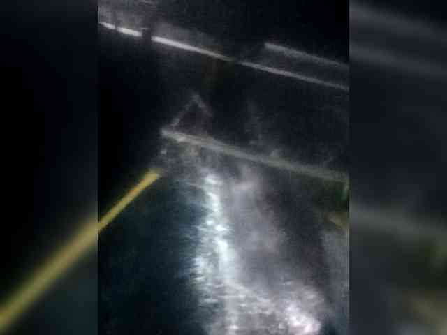 Missfreak1 Missfreak1