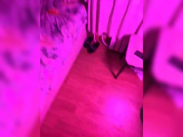 Nelonia webcam stream