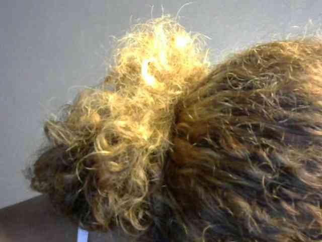 SAVANAH-AUBRI webcam