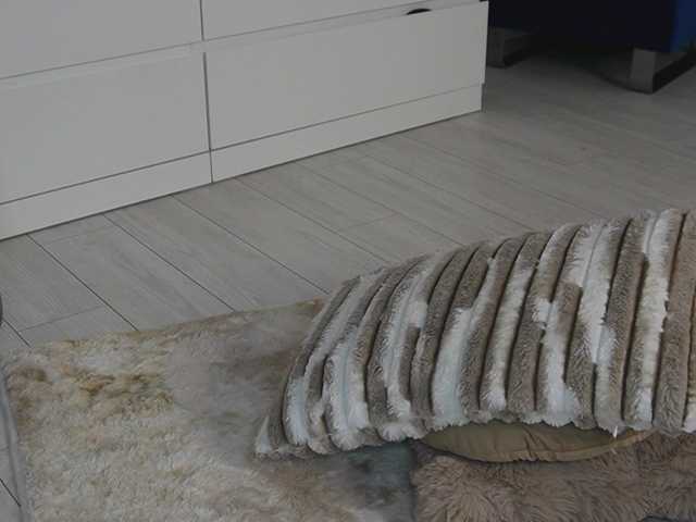 hayleybabe4's BongaCams show and profile