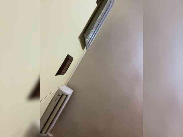 moonlightmuse webcam