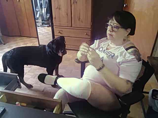 SinfulAuthority webcam