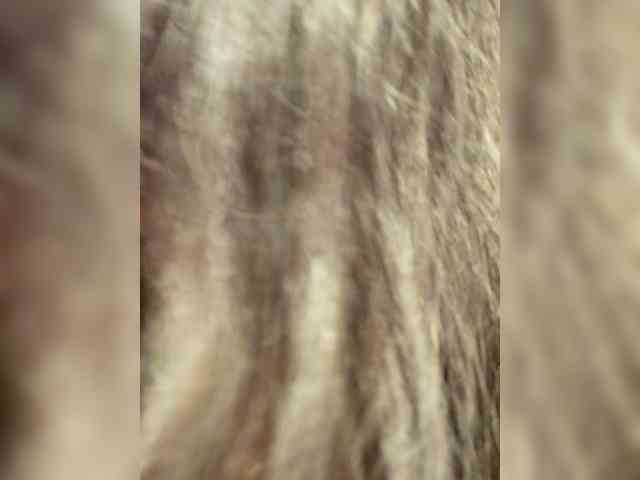 RoxanneRiddle69 RoxanneRiddle69