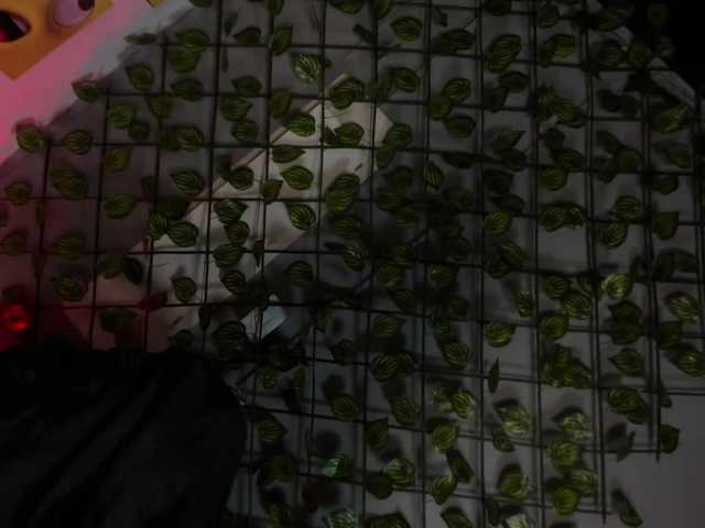 JadeBrown's BongaCams show and profile