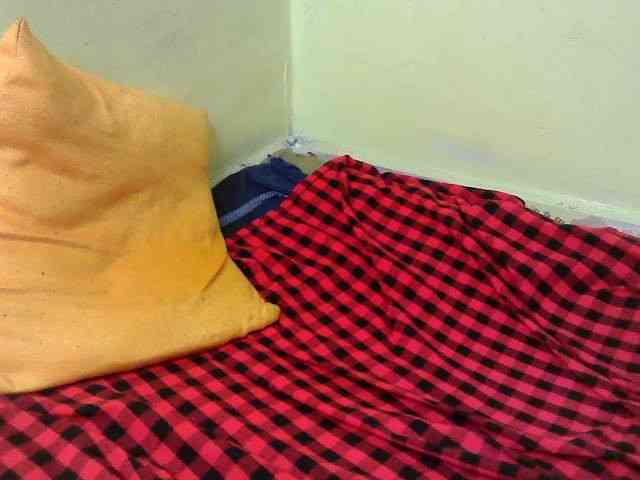 Roseroca33 Roseroca33