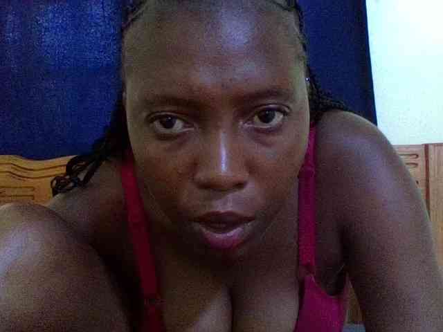 Roseroca33 Roseroca33