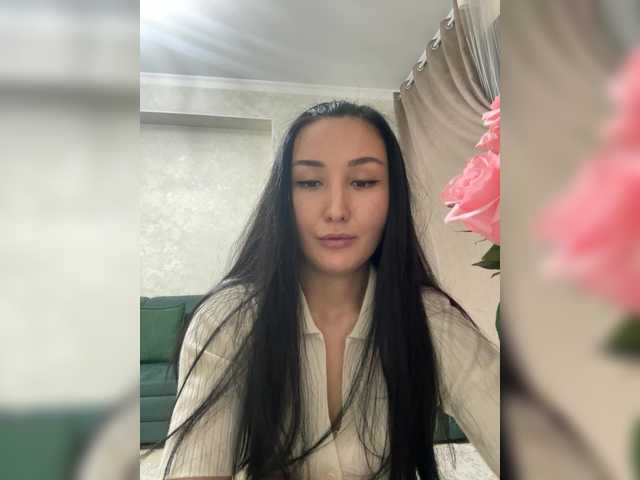 модель aika-light