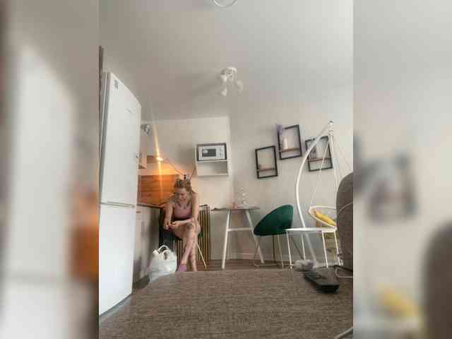 techniquedasha webcam