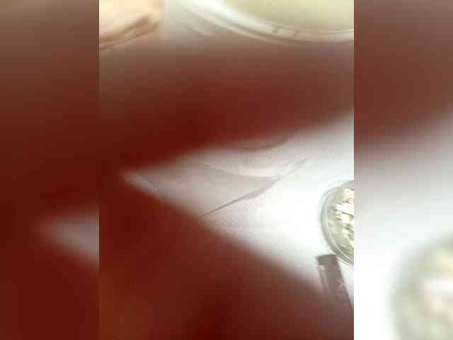 Serega14881-1 Serega14881-1