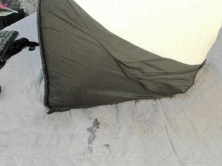 charlottesweet Porn Show