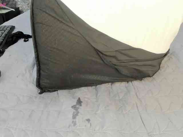 charlottesweet webcam