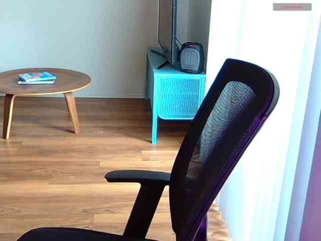 GremIRL webcam