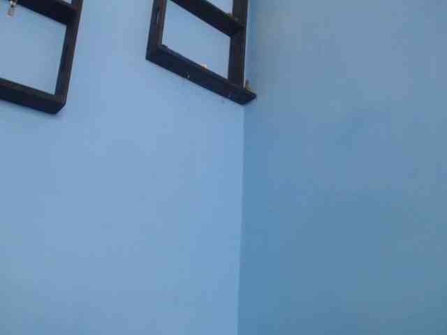 Pirata-privado Pirata-privado