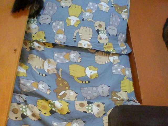 Preview of prettyval