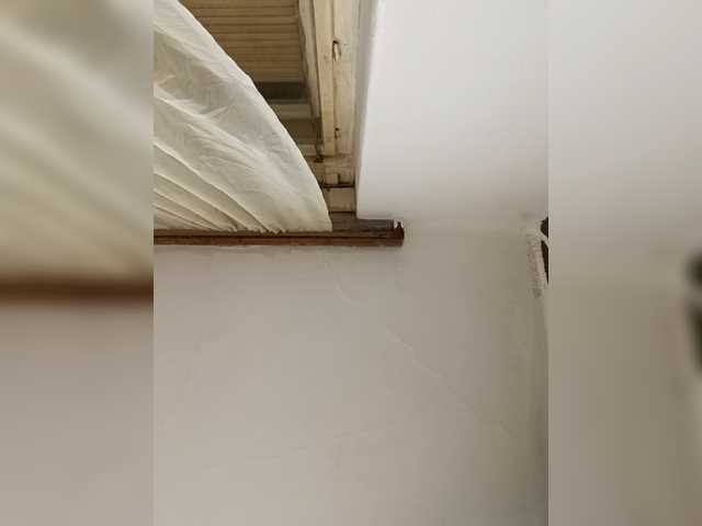 Preview of cicababa68