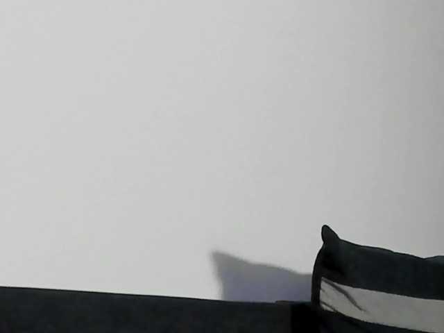 Preview of cindytail