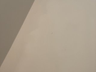 Anastasia2026 Porn Show