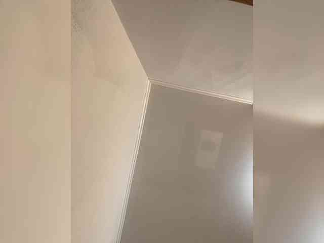 Anastasia2026 webcam