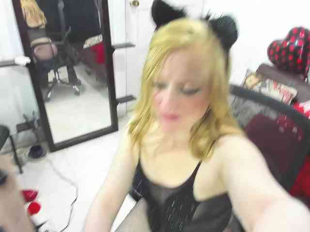 AliceC4t01 webcam