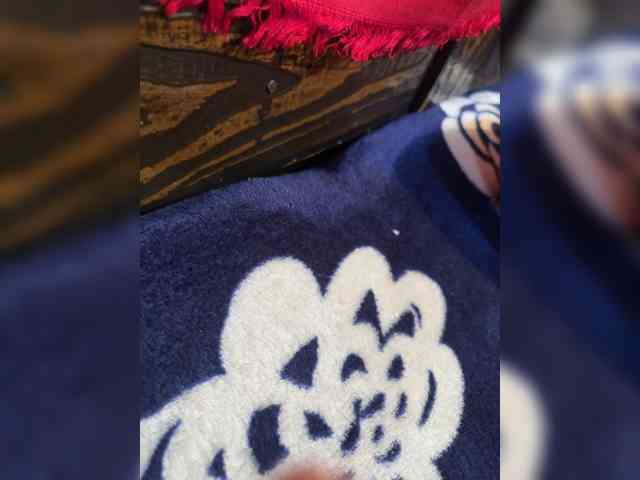 couplesind1122 webcam