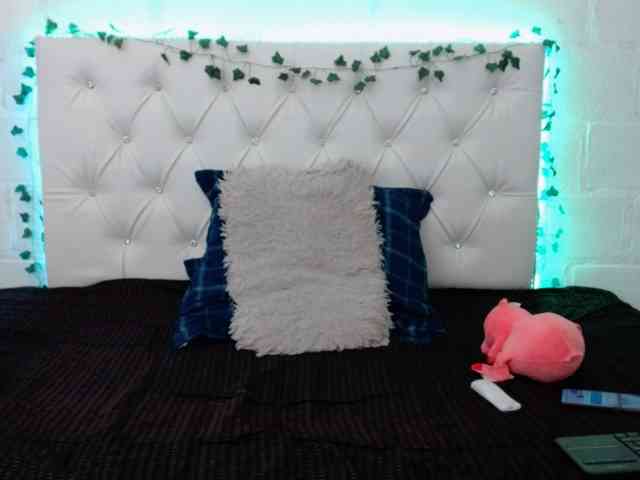 isabellaMonet webcam