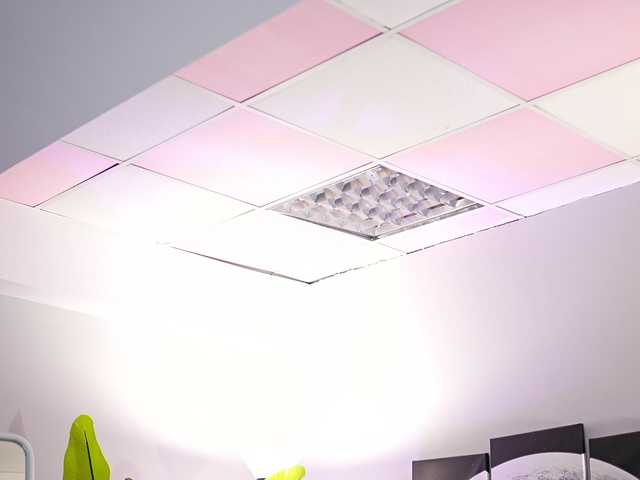 IvyTrix's BongaCams show and profile