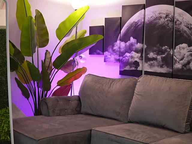 chat room adult IvyTrix