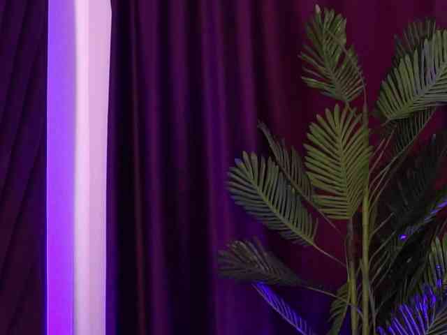 CassandraFoxy webcam